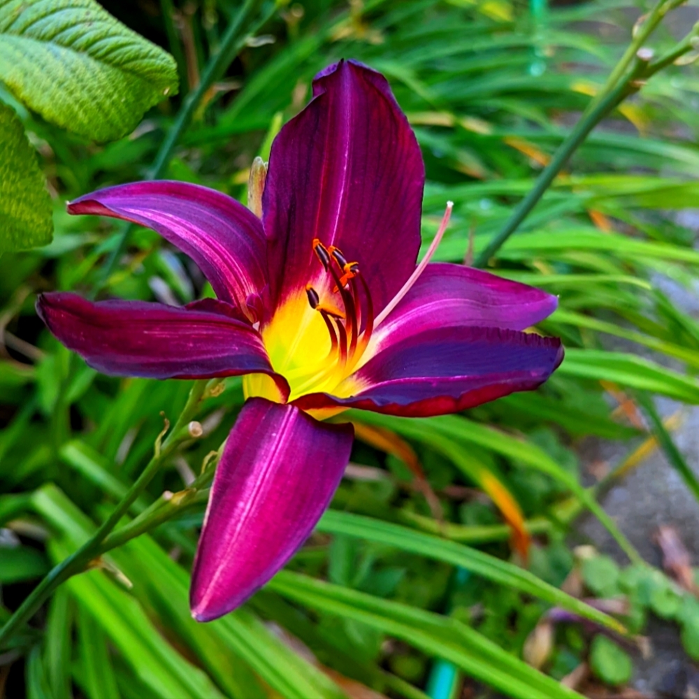 Meet your Posher, Kinder